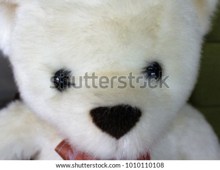 The face of an adorable stuffed bear