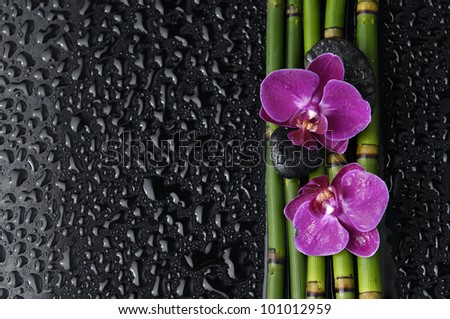 Two red orchid and zen stones and thin bamboo grove on wet background
