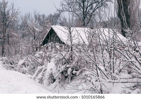 Photo of a winter landscape with trees and a house roof. Snow-covered trees, branches and land with large snowdrifts