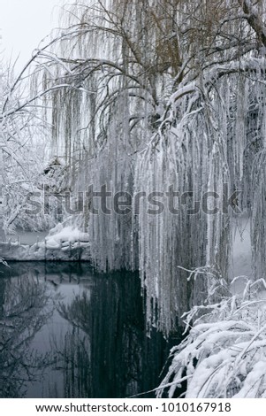 Photo of a winter landscape with a pond. A lot of snow, big snowdrifts, cloudy. The trees are low above the water.