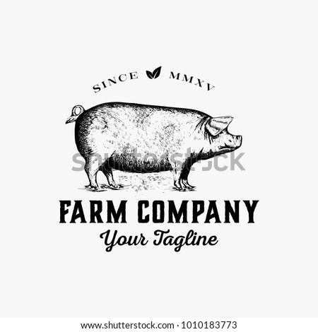 Hand drawn farm logo design vector - vintage pig logo design inspiration - bacon logo design isolated on white background Royalty-Free Stock Photo #1010183773
