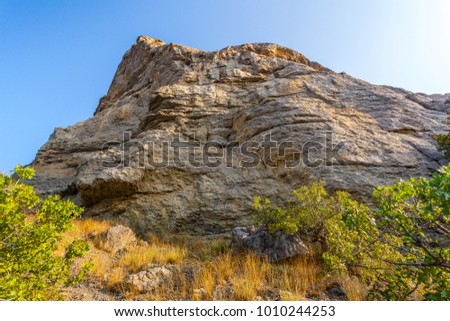 Lower view up on mountain slope with yellow dried grass and tree crowns in front and mountain top in distance lit with low sun light under clean blue sky at sunrise in Crimea