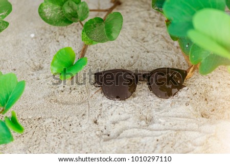 Sunglasses on sand beach with trees at the sea.  Concept fashion on summer holiday.