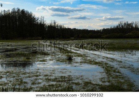 Meadow in winter is under water