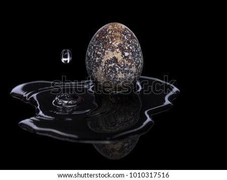 Quail egg on water surface and acrylic plastic with reflection. Philosophical and religious symbol of revival, new life and evolution. Fine art photography. Macro photography.