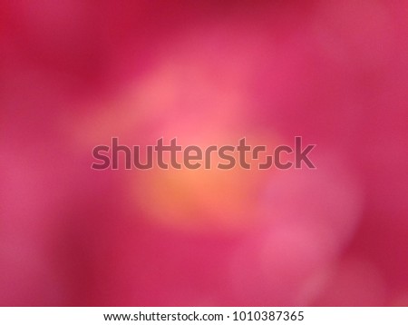Abstract out of focus lights coming from the mother nature with abstract background of Red flower. Abstract background of Red, White and Yellow color. Good for Valentines Day celebrations. 