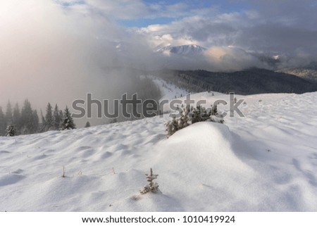 Winter landscapes in mountains,Carpathian,snow,forest tree