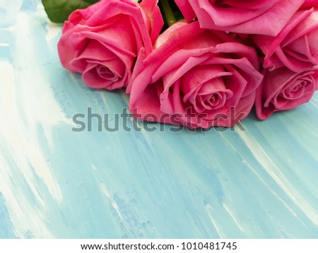 pink rose on a blue wooden background

