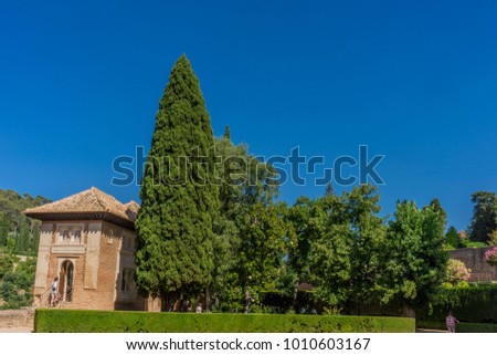 Tall tree in the beautiful gardens of the ancient Alhambra Palace in Granada on the Costa del Sol in Spain, Europe on a sunny day with blue sky