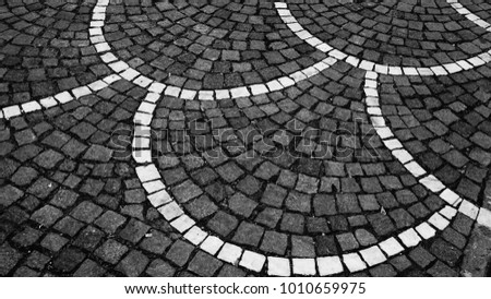 decorative mosaic flooring in black and white