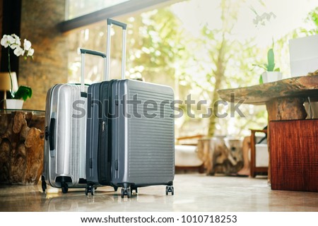 two gray large suitcases stand in the lobby of the hotel on the background of the waiting room and tropical greenery. The concept of vacation and travel. Royalty-Free Stock Photo #1010718253