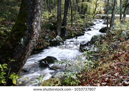 flowing water in creeks and waterfall