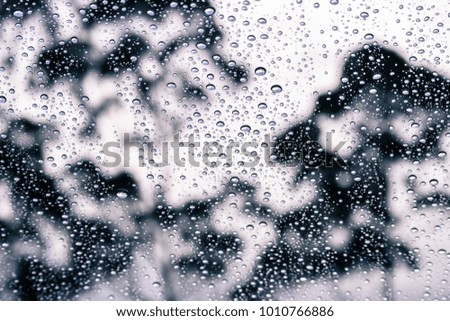 Drops of rain on the window; blurred tree shapes in the background; 