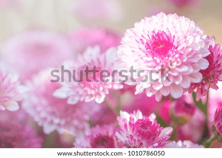 Colorful flowers made with gradient for background,Abstract,texture,Soft and Blurred style.postcard.