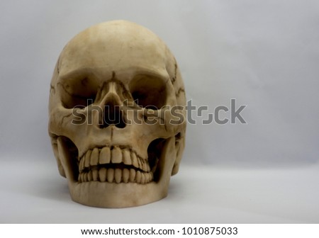 Skull of art