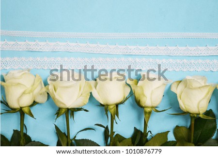 White roses on blue background