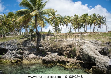 Coconut palm trees on the rocky coastline with Tadine Bay lagoon under a blue sky with clouds in Mare, New Caledonia Royalty-Free Stock Photo #1010893948