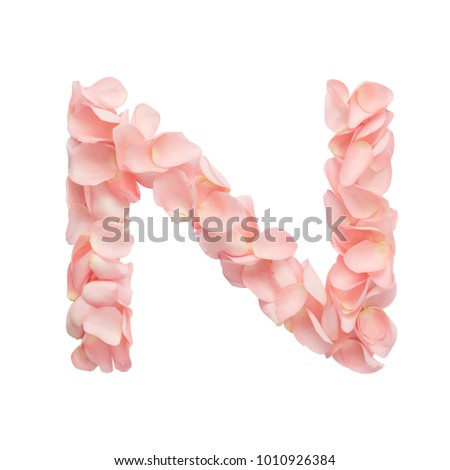 Letter N of pink flowers isolated on white background