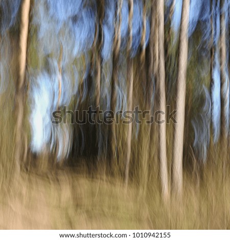   virtual forest abstract in motion                            