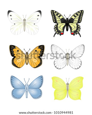 Set colorful isolated butterflies. Insects  Vector illustration