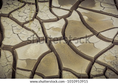The dry, cracked earth.