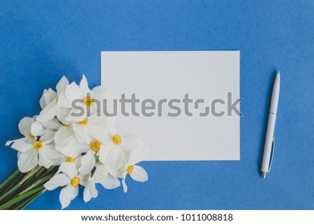 Mockup white greeting card with white daffodils flowers and blue background