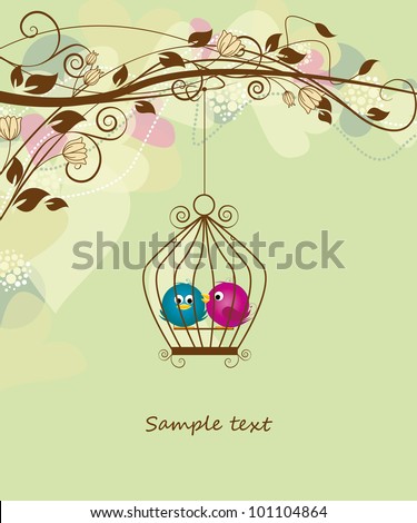 two colorful birds in a cage
