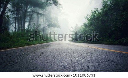 road fog rainy season on rural road