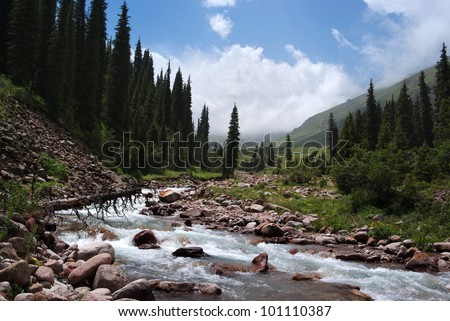 Mountain river in Tian-Shan mountains, Kazakhstan