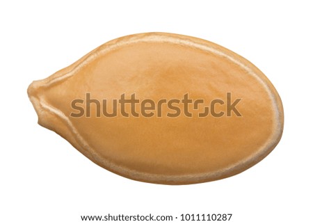 macro photo of pumpkin seed isolated on white background, top view