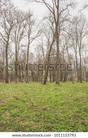 Spring in an old park with blooming snowdrops. Nature in the vicinity of Pruzhany, Brest region, Belarus.