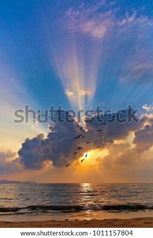 Birds and sunrays in a tropical dawn