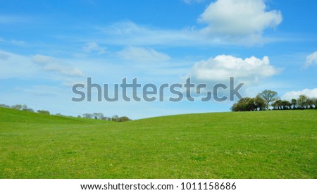 Green Field in a Valley with a Blue Sky Above