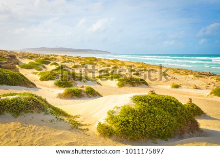 View of beach in Boa Vista, Cape Verde Royalty-Free Stock Photo #1011175897