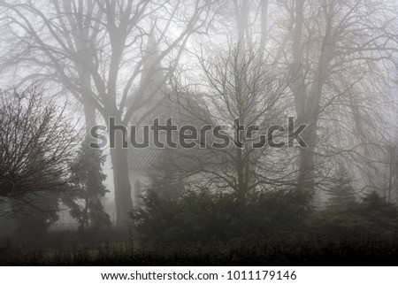 silhouette of a white church among tall trees emerging from mist in the middle of a small village
