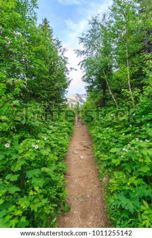 Hiking trail to Bertha fall in Waterton Lakes National park