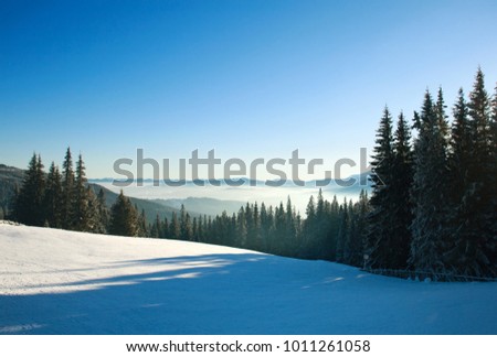 Morning winter landscape in the mountains, snow forest on the sky background