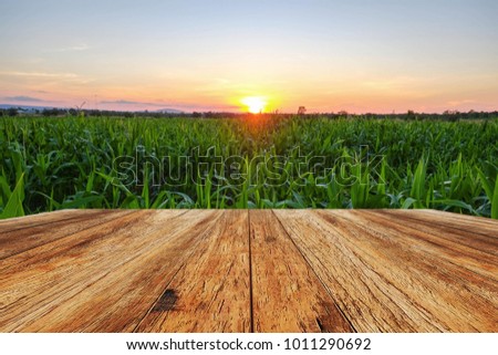 A front selective focus picture of wooden terrace beside agriculture field