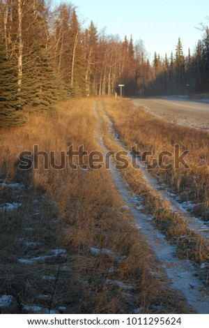 Trail riding in Alaska, beautiful winter photos of the native landscape and scenery.