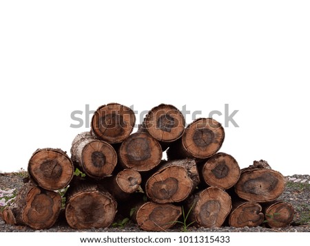 (Close up) Pile of firewood , On a white background. (with free space for text)    