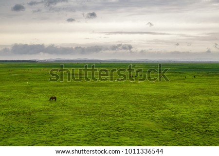 Hebei Bashang grassland scenery