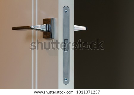 Modern stainless steel door handle on white wooden doors