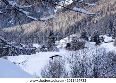 Views and enchanted beauties of the Val Aurina under the snow.