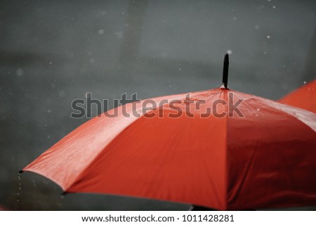 Orange umbrellas under the rain
