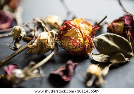 Dried roses on black