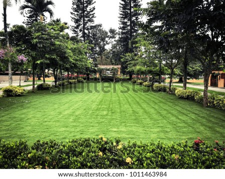 View on beautifull garden with grass and flowers, rancho in Ecuador