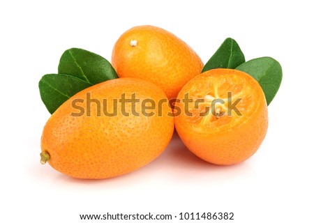 Cumquat or kumquat with leaf isolated on white background close up Royalty-Free Stock Photo #1011486382