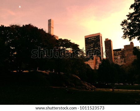 View of Manhattan from Central Park. Evening