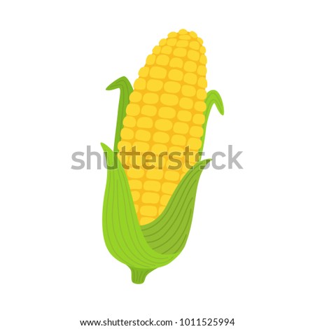 Corn yellow flat icon food natural illustration organic logo vector organic agriculture field corncob farm Royalty-Free Stock Photo #1011525994