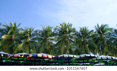 Rows of umbrella near beach with row of coconut tree and blue sky background waiting for tourist in bang saen beach, chonburi thailand